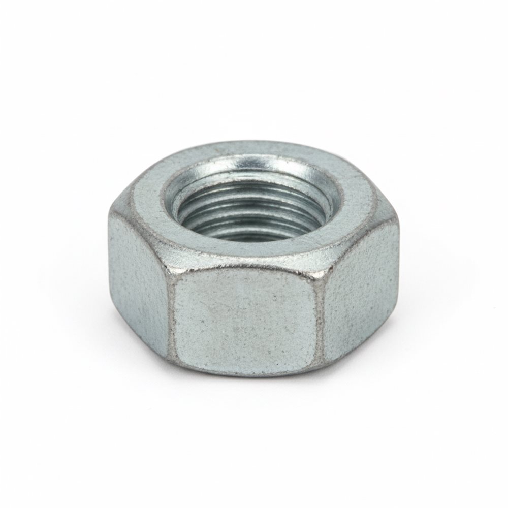 Nut for Round Ubolt 1/2 -20Th